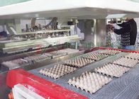 Trại gà Khay đựng trứng Máy ép giấy carton